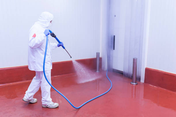 Best House Exterior Washing  in Newport, OH