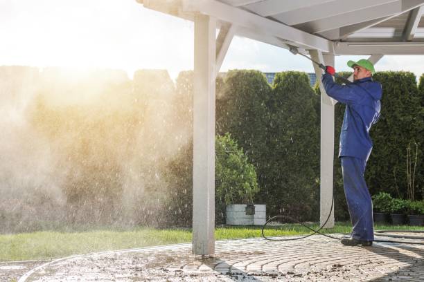 Best Graffiti Removal  in Newport, OH